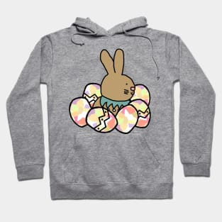 Easter Bunny with All of the Easter Eggs Hoodie